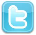 twitter logo 2